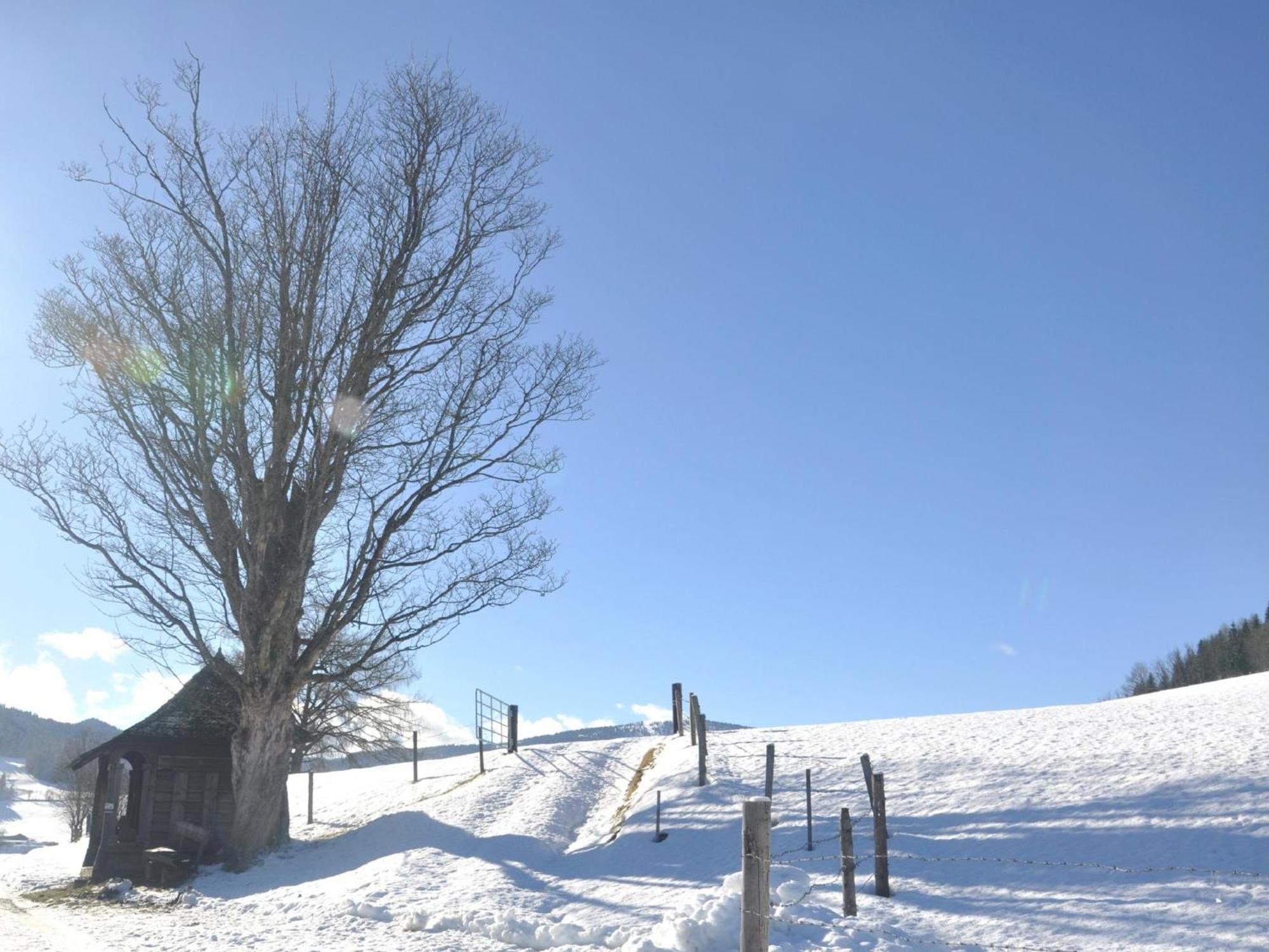 Grebenzen Eiszeit Lodge Sankt Lambrecht Εξωτερικό φωτογραφία
